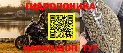 каннабис Новодвинск