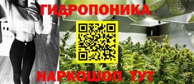 каннабис Новодвинск
