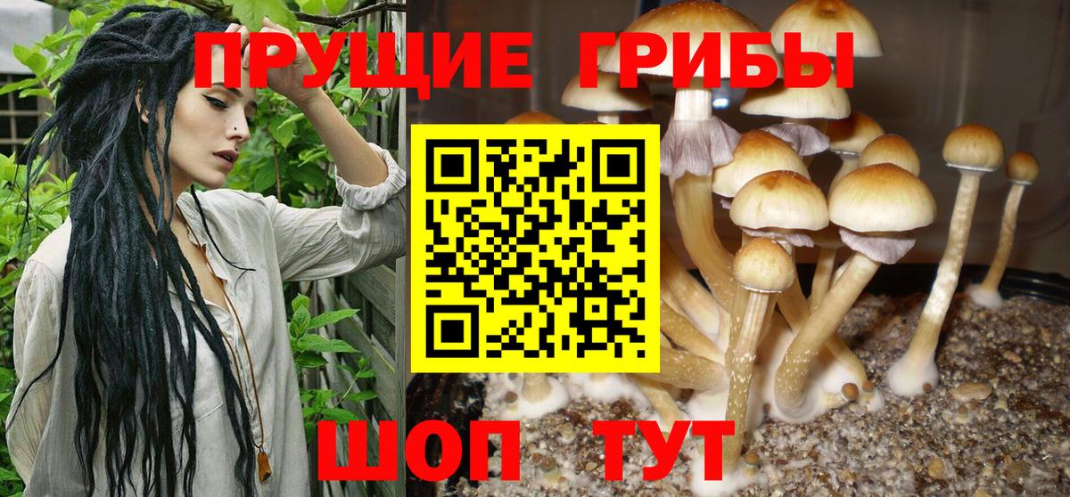 Ступино  Галлюциногенные грибы GOLDEN TEACHER  Вход с VPN 